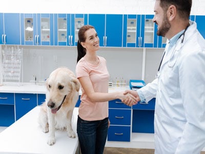 Who is Shopping for Pet Insurance?